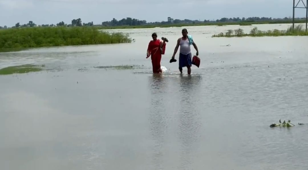 बाढ़ के बीच शिक्षा की जंग: दो किलोमीटर कमरभर पानी पार कर स्कूल पहुंच रहे शिक्षक और बच्चे, सुरक्षित स्थान पर विद्यालय शिफ्ट करने की मांग